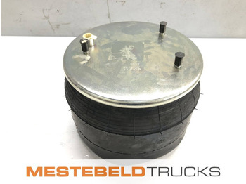 Окачване DAF