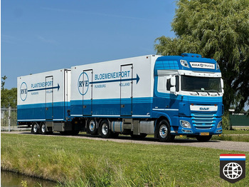 Рефрижератор камион DAF XF 460