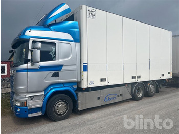 Камион SCANIA R 580
