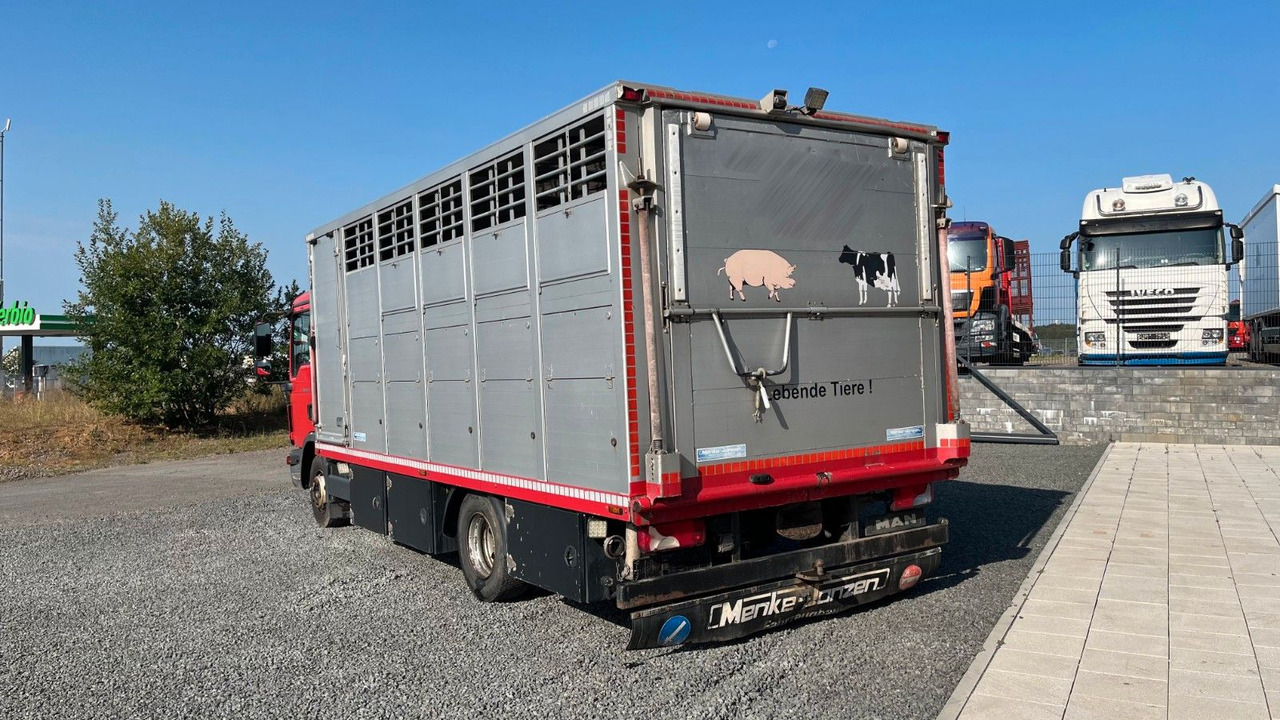 MAN TGL 10.220 Viehtransporter Rampe Trennwände - Камион за коне: снимка 5 MAN TGL 10.220 Viehtransporter Rampe Trennwände - Камион за коне: снимка 5