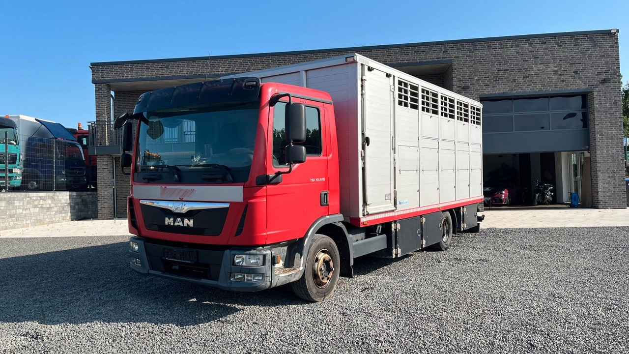 MAN TGL 10.220 Viehtransporter Rampe Trennwände - Камион за коне: снимка 2 MAN TGL 10.220 Viehtransporter Rampe Trennwände - Камион за коне: снимка 2