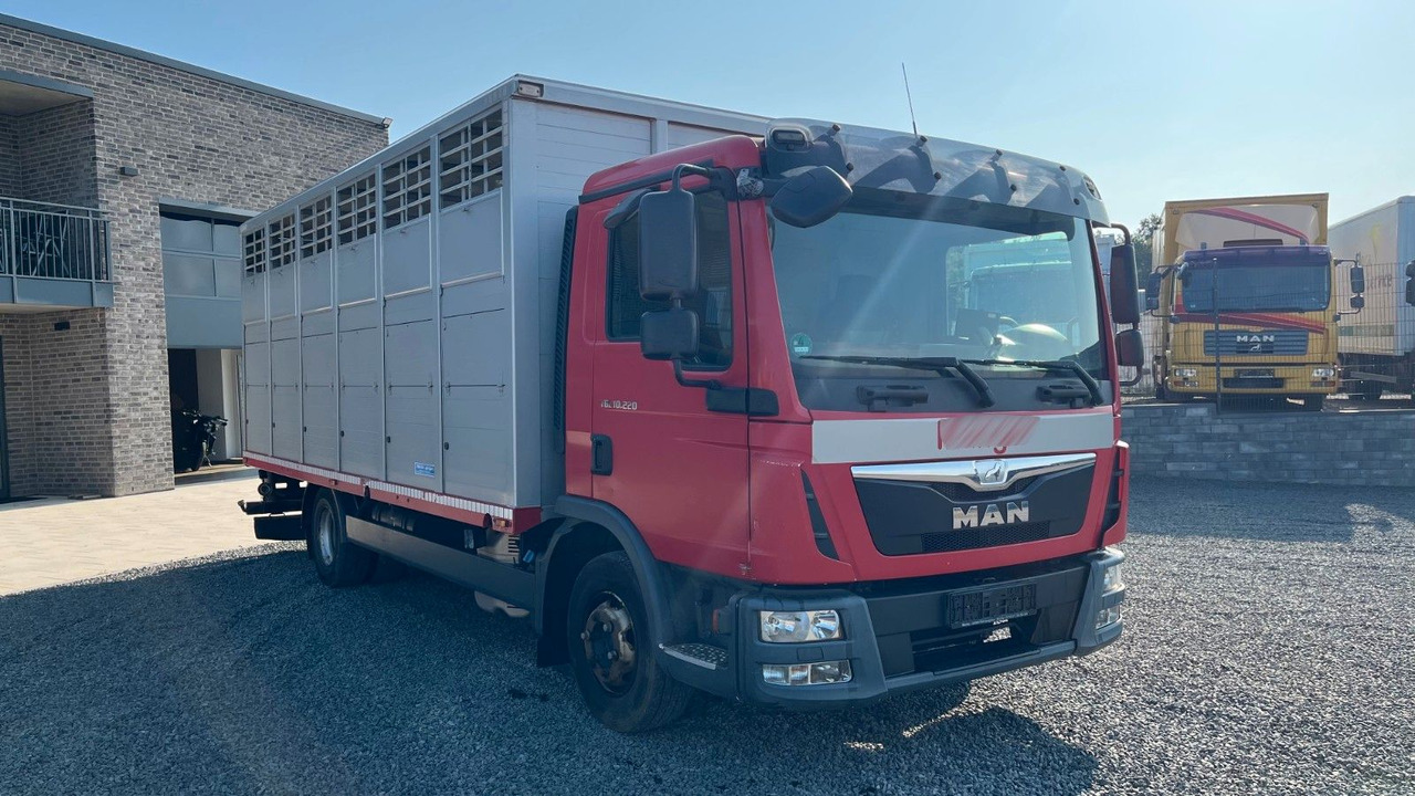 MAN TGL 10.220 Viehtransporter Rampe Trennwände - Камион за коне: снимка 3 MAN TGL 10.220 Viehtransporter Rampe Trennwände - Камион за коне: снимка 3