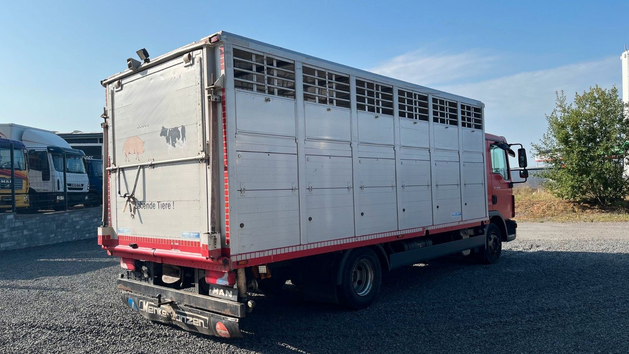 MAN TGL 10.220 Viehtransporter Rampe Trennwände - Камион за коне: снимка 4 MAN TGL 10.220 Viehtransporter Rampe Trennwände - Камион за коне: снимка 4