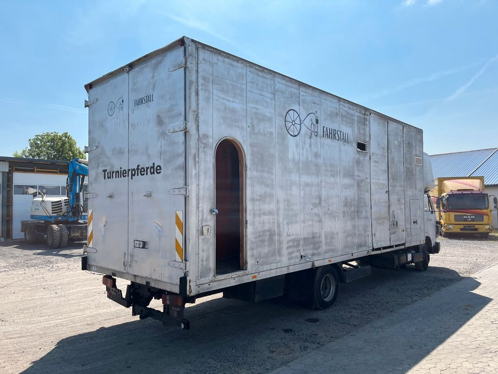MAN VW-MAN LO2 Koffer Schlafkabine - Лекотоварен автомобил фургон: снимка 4 MAN VW-MAN LO2 Koffer Schlafkabine - Лекотоварен автомобил фургон: снимка 4