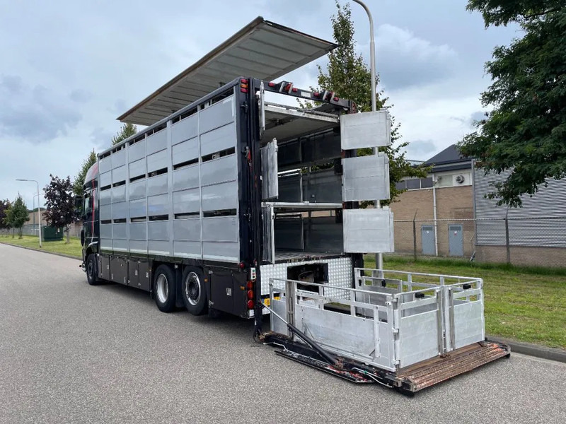DAF XF 460 2017 berdex 3 lagen varkens - За превоз на животни камион: снимка 4 DAF XF 460 2017 berdex 3 lagen varkens - За превоз на животни камион: снимка 4