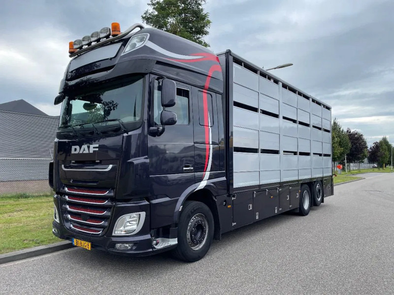 DAF XF 460 2017 berdex 3 lagen varkens - За превоз на животни камион: снимка 1 DAF XF 460 2017 berdex 3 lagen varkens - За превоз на животни камион: снимка 1