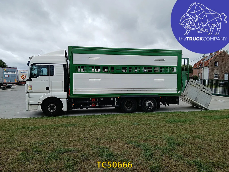 MAN TGX 460 - За превоз на животни камион: снимка 2 MAN TGX 460 - За превоз на животни камион: снимка 2