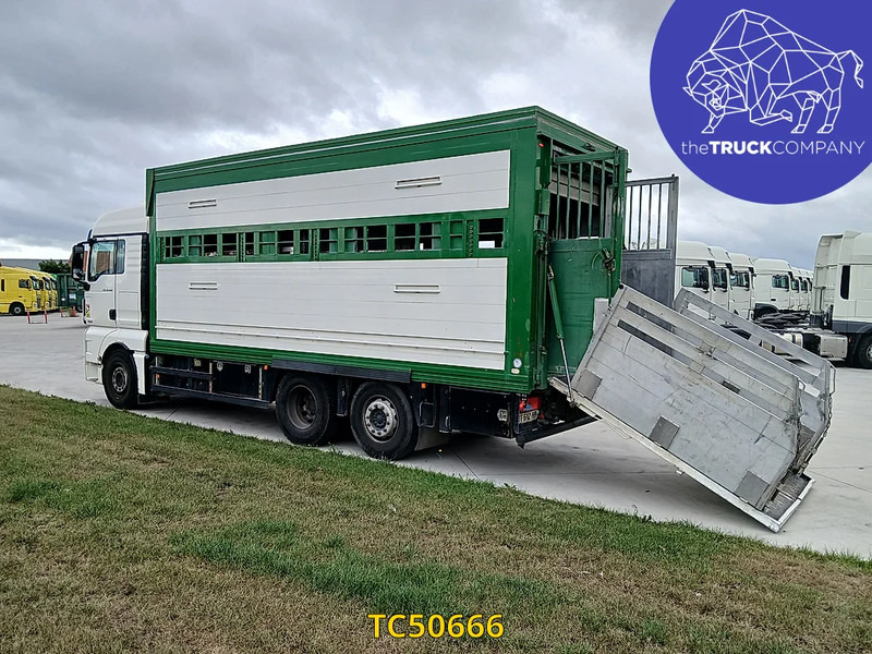 MAN TGX 460 - За превоз на животни камион: снимка 3 MAN TGX 460 - За превоз на животни камион: снимка 3
