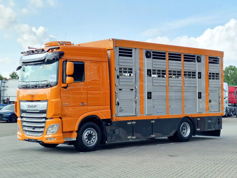 DAF XF 530 4x2 - Livestock Menke 2 deck water & ventilation - За превоз на животни камион: снимка 5 DAF XF 530 4x2 - Livestock Menke 2 deck water & ventilation - За превоз на животни камион: снимка 5