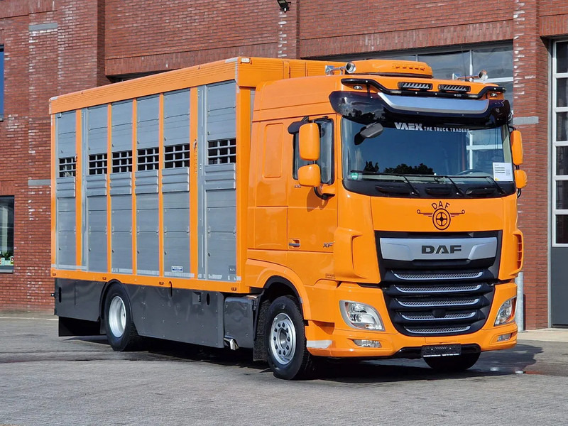 DAF XF 530 4x2 - Livestock Menke 2 deck water & ventilation - За превоз на животни камион: снимка 3 DAF XF 530 4x2 - Livestock Menke 2 deck water & ventilation - За превоз на животни камион: снимка 3