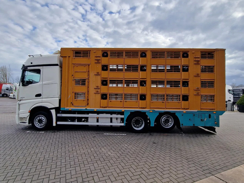 Mercedes-Benz Actros 2545 6x2 Finkl 4 stock livestock box - 65.30 M2 - Water & Ventilation - Retarder - Full air - За превоз на животни камион: снимка 4 Mercedes-Benz Actros 2545 6x2 Finkl 4 stock livestock box - 65.30 M2 - Water & Ventilation - Retarder - Full air - За превоз на животни камион: снимка 4