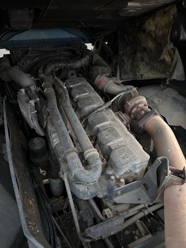 Влекач RENAULT Magnum 440 | ID1646S: снимка 12