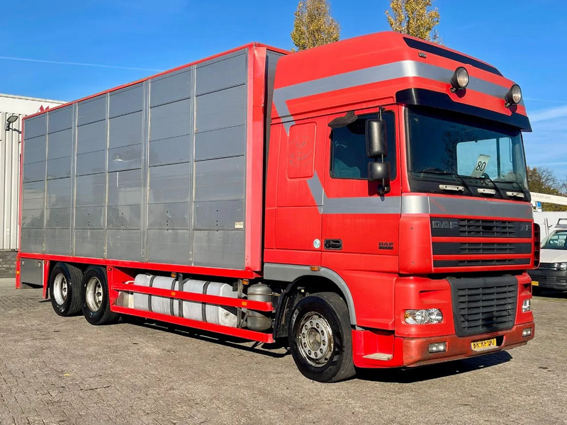 DAF XF 95.430 BERDEX 3 decks. Water, fans, Scales! Excellent condition. - За превоз на животни камион: снимка 5 DAF XF 95.430 BERDEX 3 decks. Water, fans, Scales! Excellent condition. - За превоз на животни камион: снимка 5