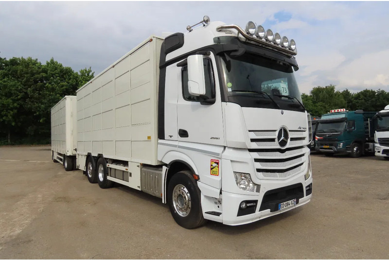 Mercedes-Benz Actros 2551 BERDEX 3 decks, All options + Berdex 12/ 2007 - За превоз на животни камион: снимка 1 Mercedes-Benz Actros 2551 BERDEX 3 decks, All options + Berdex 12/ 2007 - За превоз на животни камион: снимка 1