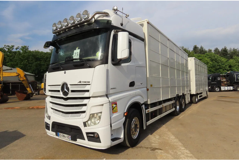 Mercedes-Benz Actros 2551 BERDEX 3 decks, All options + Berdex 12/ 2007 - За превоз на животни камион: снимка 3 Mercedes-Benz Actros 2551 BERDEX 3 decks, All options + Berdex 12/ 2007 - За превоз на животни камион: снимка 3