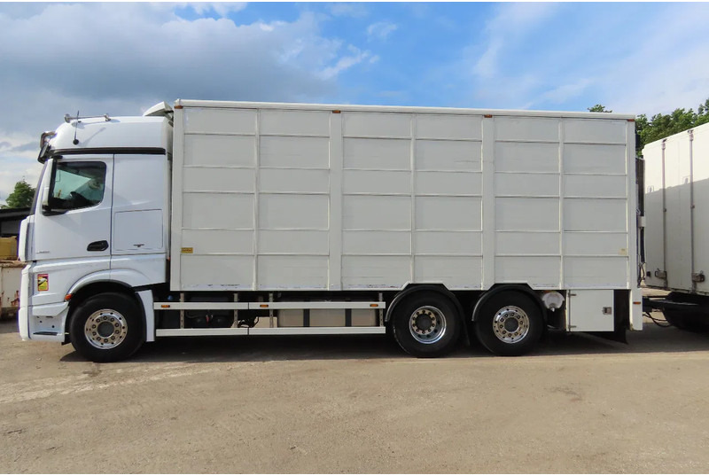 Mercedes-Benz Actros 2551 BERDEX 3 decks, All options + Berdex 12/ 2007 - За превоз на животни камион: снимка 4 Mercedes-Benz Actros 2551 BERDEX 3 decks, All options + Berdex 12/ 2007 - За превоз на животни камион: снимка 4