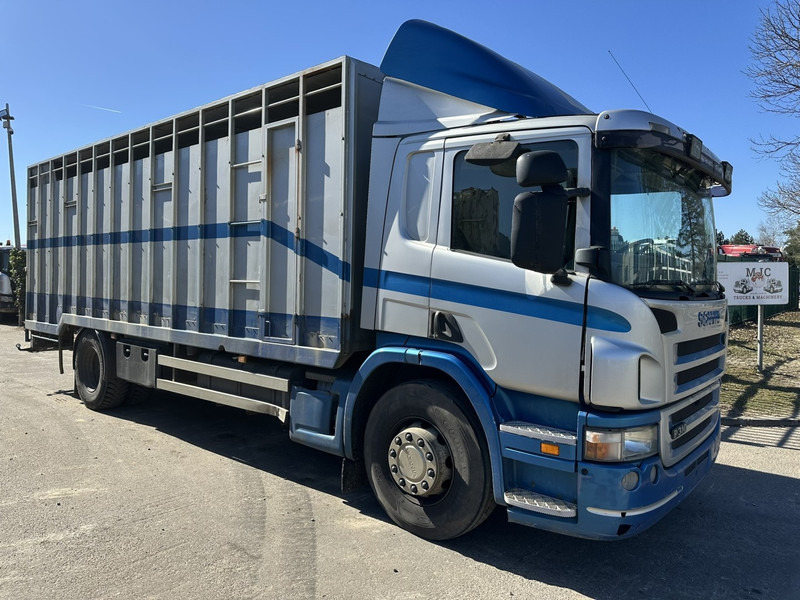 Scania P310 4x2 ANIMAL TRANSPORT - ALU BOX 7m - MANUAL - AIR SUSPENSION - A/C - BELGIAN TRUCK - За превоз на животни камион: снимка 1 Scania P310 4x2 ANIMAL TRANSPORT - ALU BOX 7m - MANUAL - AIR SUSPENSION - A/C - BELGIAN TRUCK - За превоз на животни камион: снимка 1