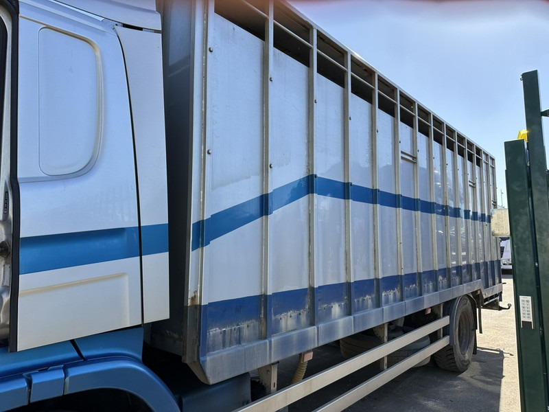 Scania P310 4x2 ANIMAL TRANSPORT - ALU BOX 7m - MANUAL - AIR SUSPENSION - A/C - BELGIAN TRUCK - За превоз на животни камион: снимка 5 Scania P310 4x2 ANIMAL TRANSPORT - ALU BOX 7m - MANUAL - AIR SUSPENSION - A/C - BELGIAN TRUCK - За превоз на животни камион: снимка 5