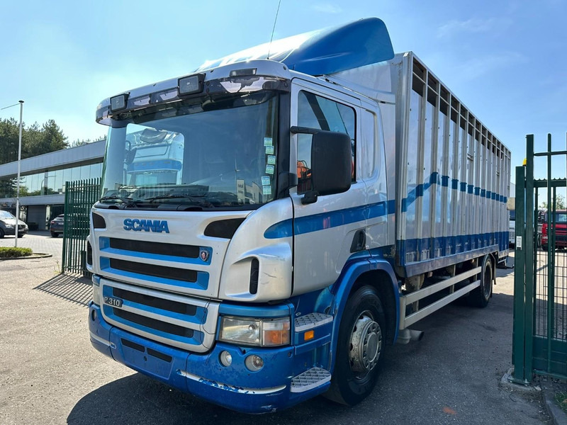 Scania P310 4x2 LIVESTOCK / VEEWAGEN / TIERTRANSPORT / BETAILLERE - ALU BOX 7m - MANUAL - A/C - BELGIAN TRUCK - За превоз на животни камион: снимка 3 Scania P310 4x2 LIVESTOCK / VEEWAGEN / TIERTRANSPORT / BETAILLERE - ALU BOX 7m - MANUAL - A/C - BELGIAN TRUCK - За превоз на животни камион: снимка 3