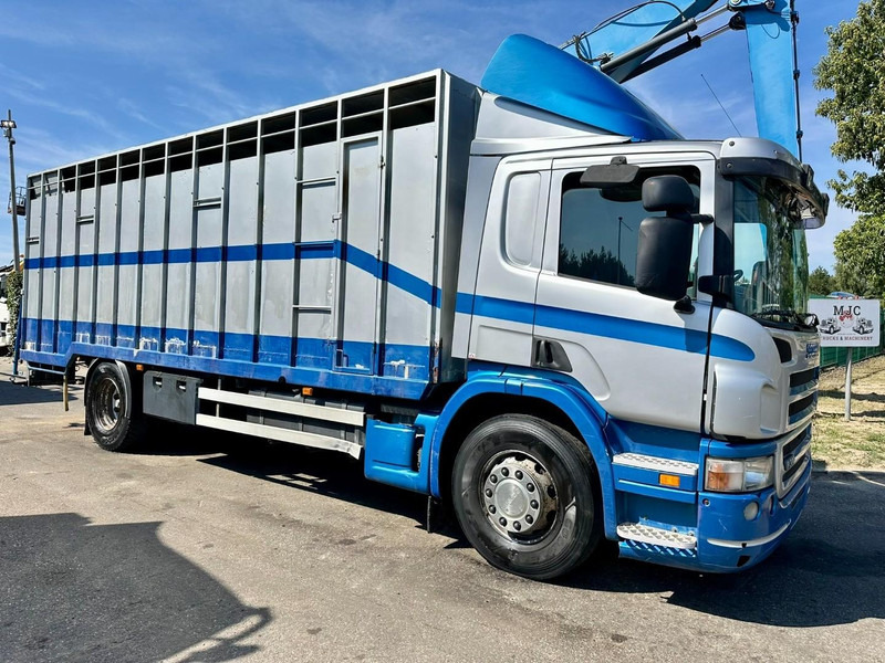 Scania P310 4x2 LIVESTOCK / VEEWAGEN / TIERTRANSPORT / BETAILLERE - ALU BOX 7m - MANUAL - A/C - BELGIAN TRUCK - За превоз на животни камион: снимка 1 Scania P310 4x2 LIVESTOCK / VEEWAGEN / TIERTRANSPORT / BETAILLERE - ALU BOX 7m - MANUAL - A/C - BELGIAN TRUCK - За превоз на животни камион: снимка 1