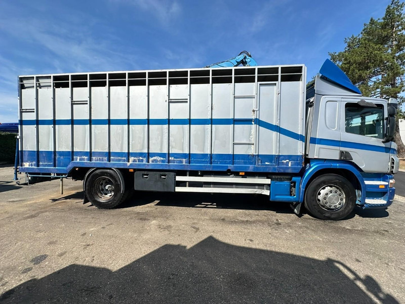 Scania P310 4x2 LIVESTOCK / VEEWAGEN / TIERTRANSPORT / BETAILLERE - ALU BOX 7m - MANUAL - A/C - BELGIAN TRUCK - За превоз на животни камион: снимка 4 Scania P310 4x2 LIVESTOCK / VEEWAGEN / TIERTRANSPORT / BETAILLERE - ALU BOX 7m - MANUAL - A/C - BELGIAN TRUCK - За превоз на животни камион: снимка 4
