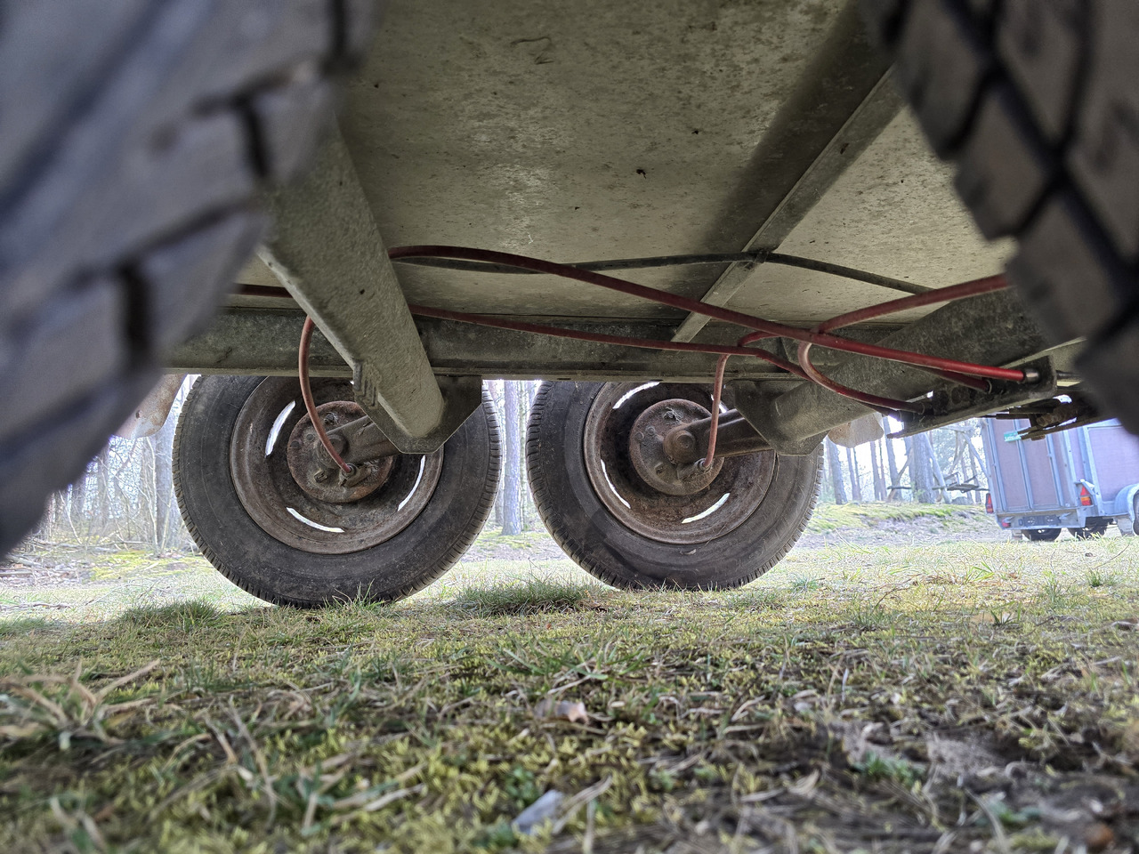 PONGRATZ PA 310 T - За превоз на животни ремарке: снимка 4 PONGRATZ PA 310 T - За превоз на животни ремарке: снимка 4