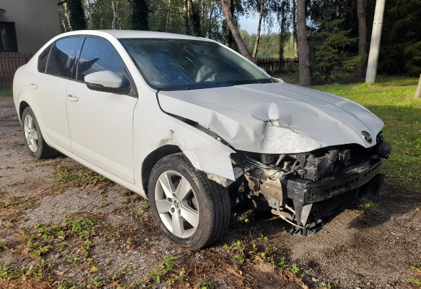 Skoda Octavia - Лек автомобил: снимка 1 Skoda Octavia - Лек автомобил: снимка 1