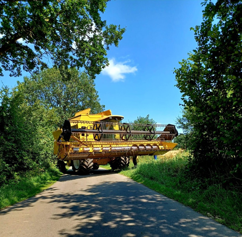 New Holland TX 68 Plus - Зърнокомбайн: снимка 1 New Holland TX 68 Plus - Зърнокомбайн: снимка 1