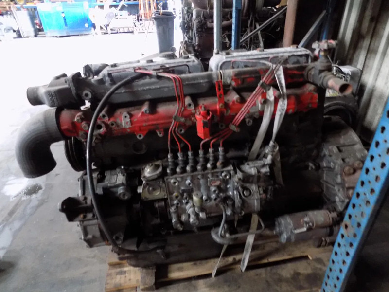 DAF 825 motor van daf typ 85 euro 2 - Двигател за Камион: снимка 1 DAF 825 motor van daf typ 85 euro 2 - Двигател за Камион: снимка 1