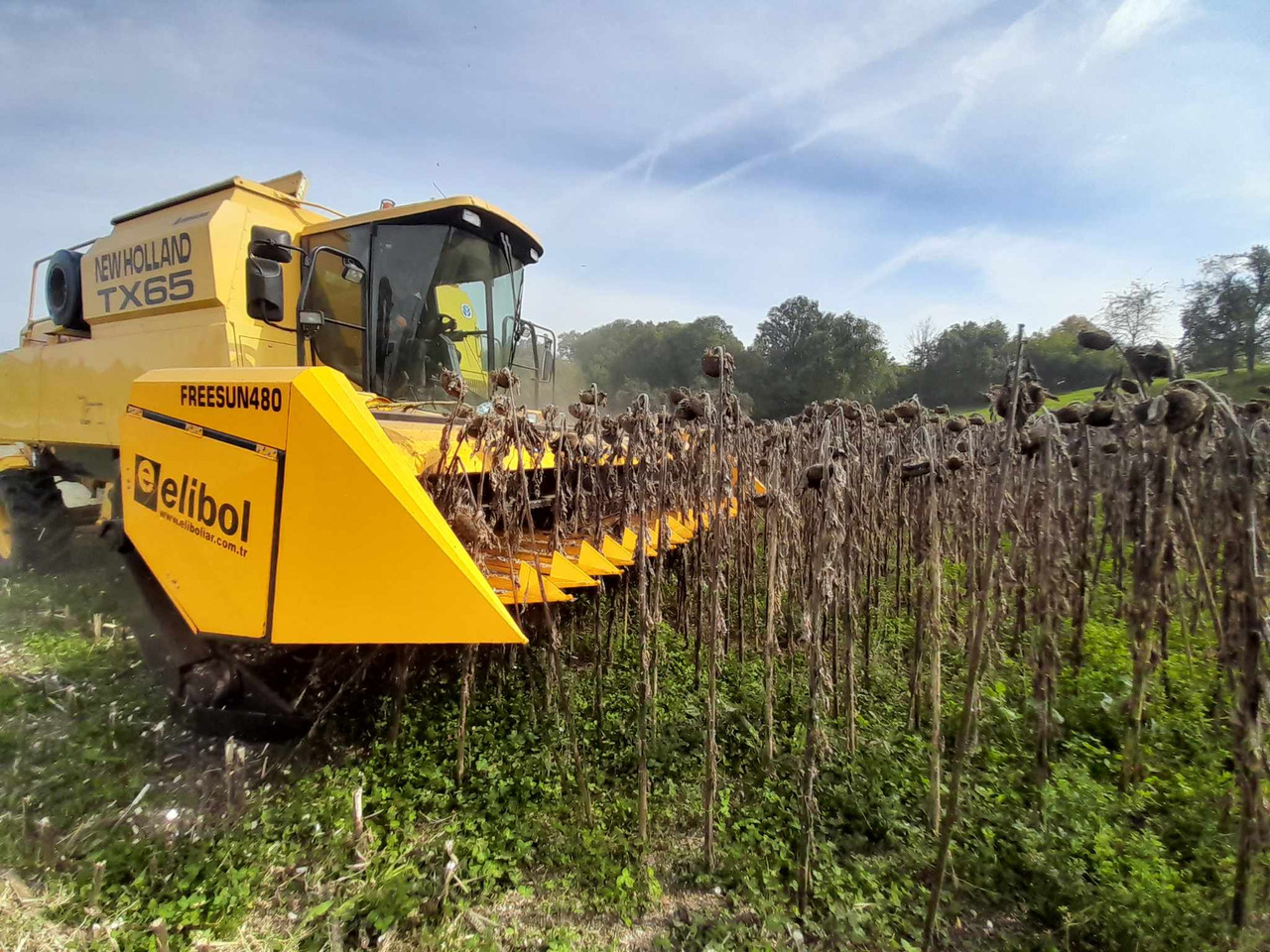 ELİBOL FREESUN 480 ROW INDEPENDENT SUNFLOWER HEADER - Хедер за слънчоглед: снимка 4 ELİBOL FREESUN 480 ROW INDEPENDENT SUNFLOWER HEADER - Хедер за слънчоглед: снимка 4
