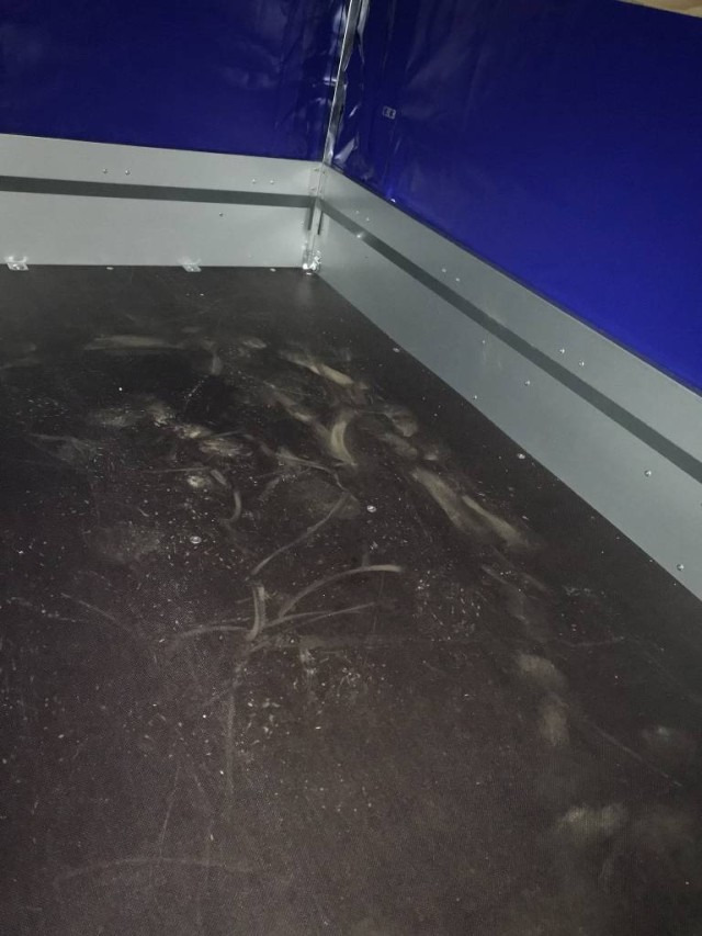 Humbaur Steely mit Hochplane 140 cm, 750 kg 2050x1095x300mm - Ремарке за кола: снимка 4 Humbaur Steely mit Hochplane 140 cm, 750 kg 2050x1095x300mm - Ремарке за кола: снимка 4