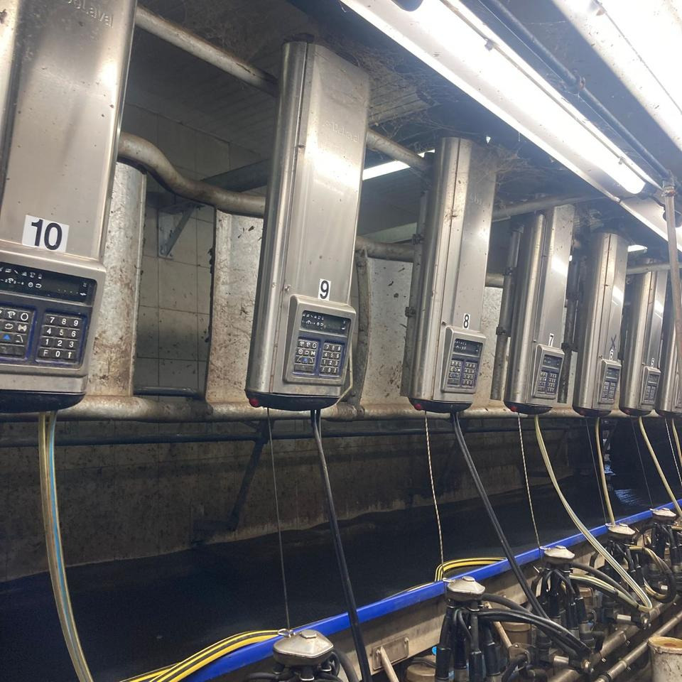 DeLaval Fischgrätenmelkstand Doppel 10er - Доилна техника: снимка 1 DeLaval Fischgrätenmelkstand Doppel 10er - Доилна техника: снимка 1