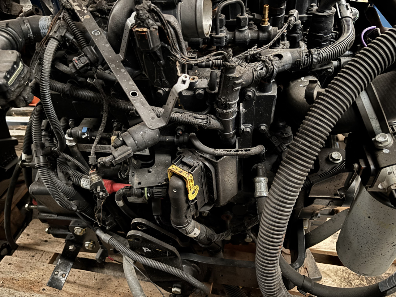 DEUTZ 3.6 75 KM (55.4 kW) Silnik CZĘŚCI Manitou MT1033TCD3.6L04 MT 1033 TCD 3.6 L04 C4DI90 - Двигател и части за Строителна техника: снимка 4 DEUTZ 3.6 75 KM (55.4 kW) Silnik CZĘŚCI Manitou MT1033TCD3.6L04 MT 1033 TCD 3.6 L04 C4DI90 - Двигател и части за Строителна техника: снимка 4