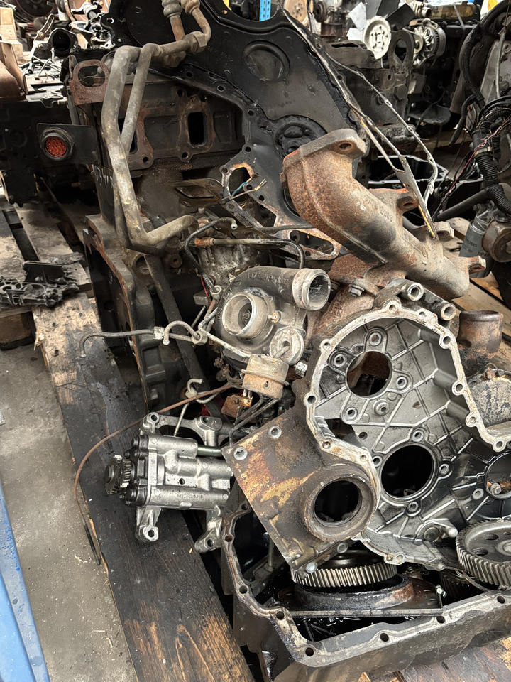 Manitou MLT 634-120 Perkins Silnik Blok Tryby Koło Pasowe Pokrywa Wał Korbowy CZĘŚCI - Колянов вал за Селскостопанска техника: снимка 1 Manitou MLT 634-120 Perkins Silnik Blok Tryby Koło Pasowe Pokrywa Wał Korbowy CZĘŚCI - Колянов вал за Селскостопанска техника: снимка 1