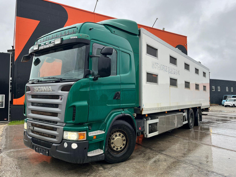 Scania G 480 6x2*4 BOX L=9212 mm / COOLANT LEAKAGE ON 3 RD CYLINDER - За превоз на животни камион: снимка 2 Scania G 480 6x2*4 BOX L=9212 mm / COOLANT LEAKAGE ON 3 RD CYLINDER - За превоз на животни камион: снимка 2