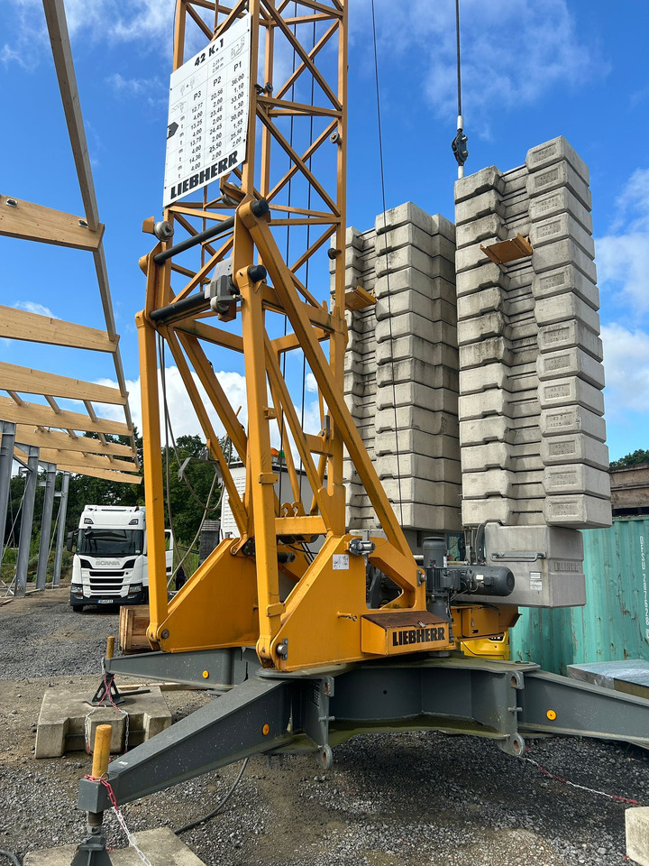 LIEBHERR 42K.1 - Кулокран: снимка 2 LIEBHERR 42K.1 - Кулокран: снимка 2
