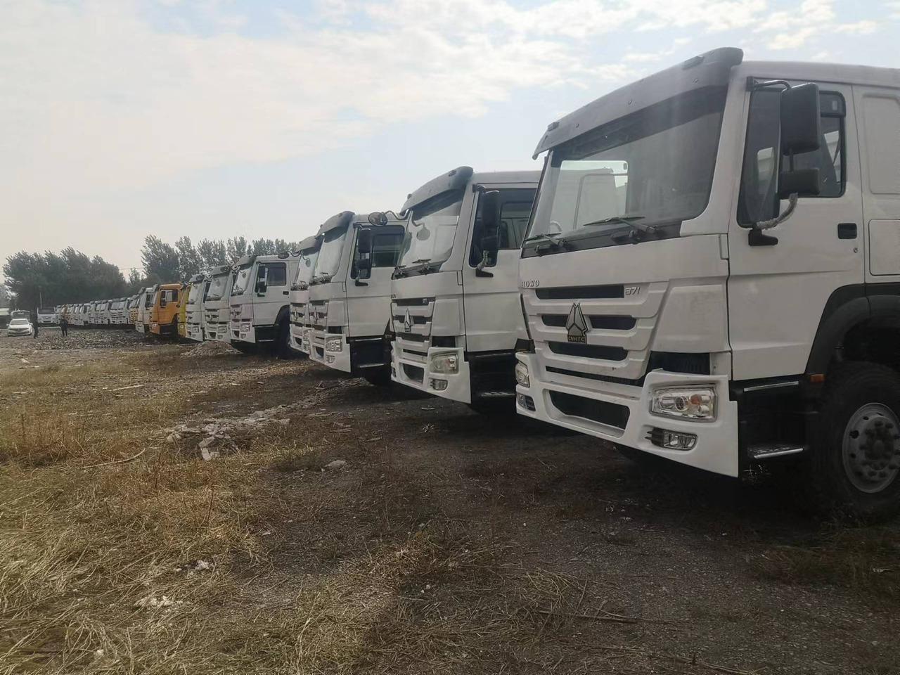 SINOTRUK HOWO WITH FENCE LIVESTOCK DUMP TRUCK - Самосвал камион: снимка 1 SINOTRUK HOWO WITH FENCE LIVESTOCK DUMP TRUCK - Самосвал камион: снимка 1