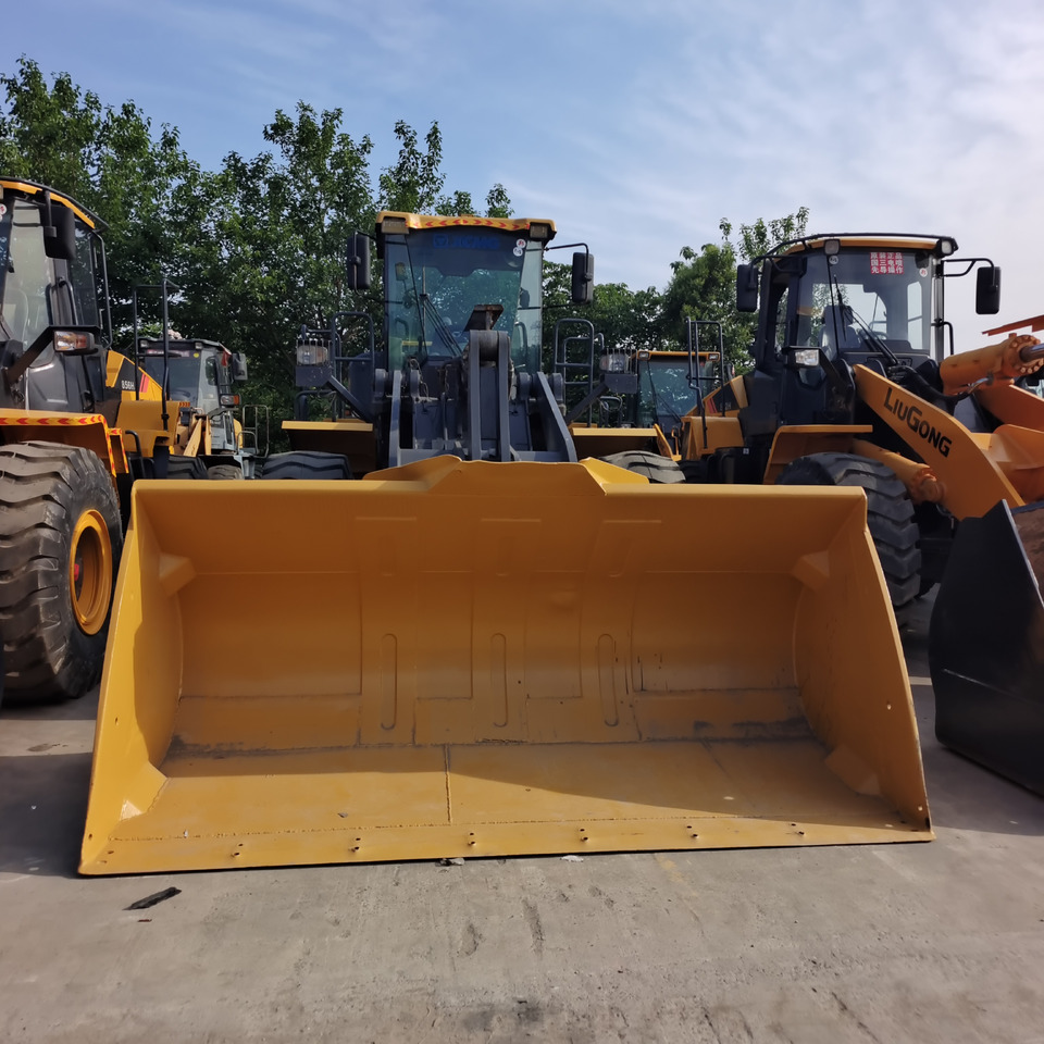 Колесен товарач XCMG LW600FV: снимка 1