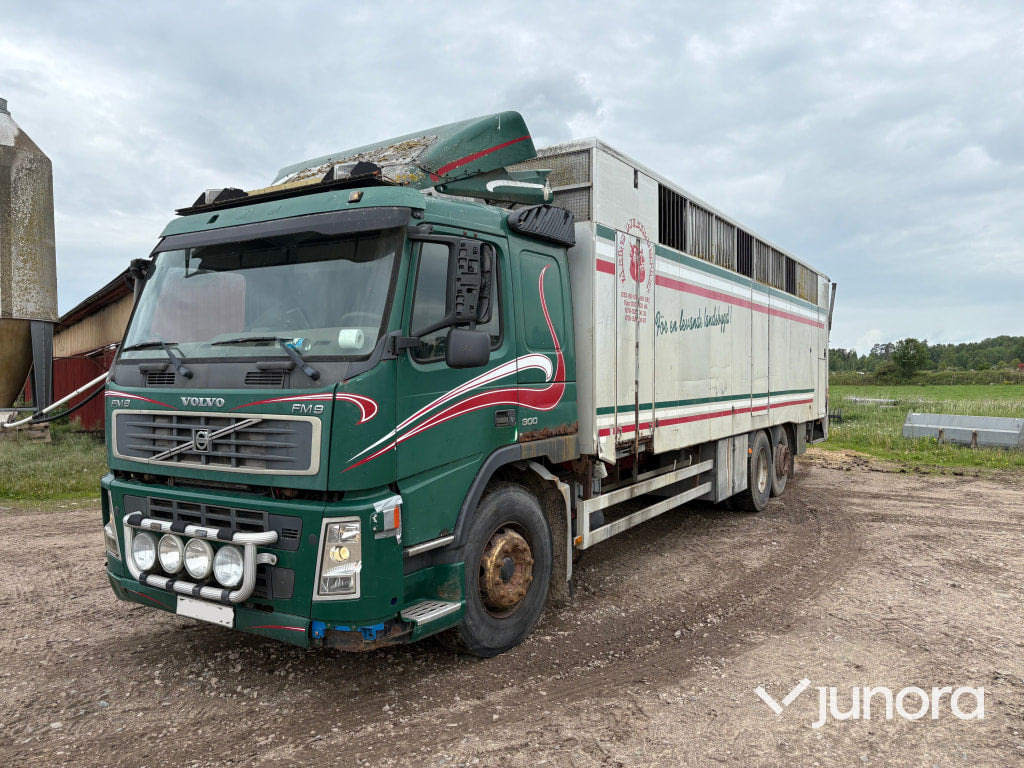 Djurtransport Volvo FM9 6x2 - За превоз на животни камион: снимка 1 Djurtransport Volvo FM9 6x2 - За превоз на животни камион: снимка 1
