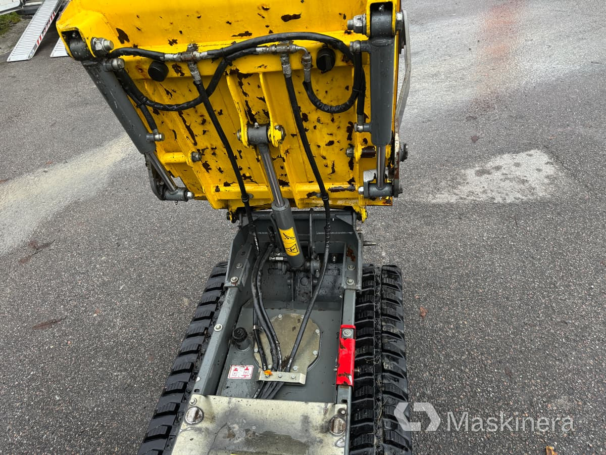 Верижен самосвал Minidumper Wacker Neuson DT08 D: снимка 16 Верижен самосвал Minidumper Wacker Neuson DT08 D: снимка 16