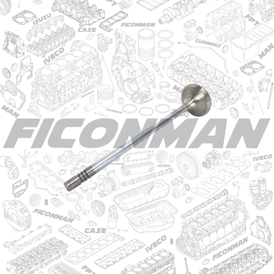 FORD Ford Trucks F-MAX ECOTORQ 9L Exhaust valve 2C46-6505-CA , T122136 , 2C466505CA - Клапа за Камион: снимка 1 FORD Ford Trucks F-MAX ECOTORQ 9L Exhaust valve 2C46-6505-CA , T122136 , 2C466505CA - Клапа за Камион: снимка 1