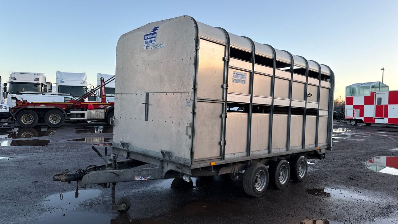 IFOR WILLIAMS DP120S3-4 - За превоз на животни ремарке: снимка 3 IFOR WILLIAMS DP120S3-4 - За превоз на животни ремарке: снимка 3