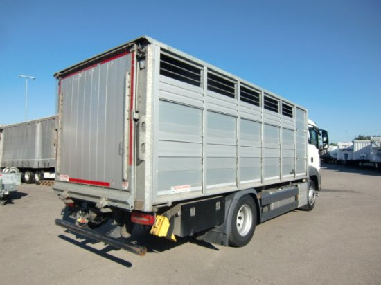 MAN TGS 18.420 Tiertransporter,Euro 6, Manual Seilwinde, el. Ladebordwand Voll Luft - Камион за коне: снимка 4 MAN TGS 18.420 Tiertransporter,Euro 6, Manual Seilwinde, el. Ladebordwand Voll Luft - Камион за коне: снимка 4