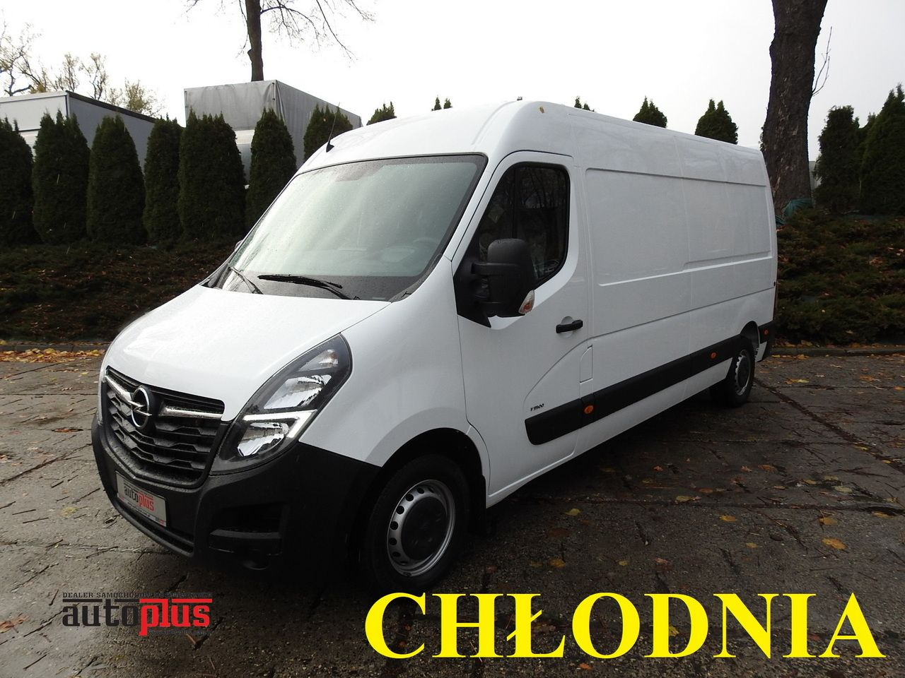 OPEL MOVANO - Хладилен бус: снимка 1 OPEL MOVANO - Хладилен бус: снимка 1