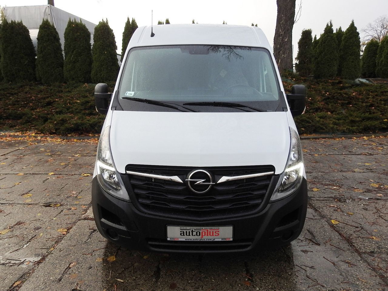 OPEL MOVANO - Хладилен бус: снимка 5 OPEL MOVANO - Хладилен бус: снимка 5
