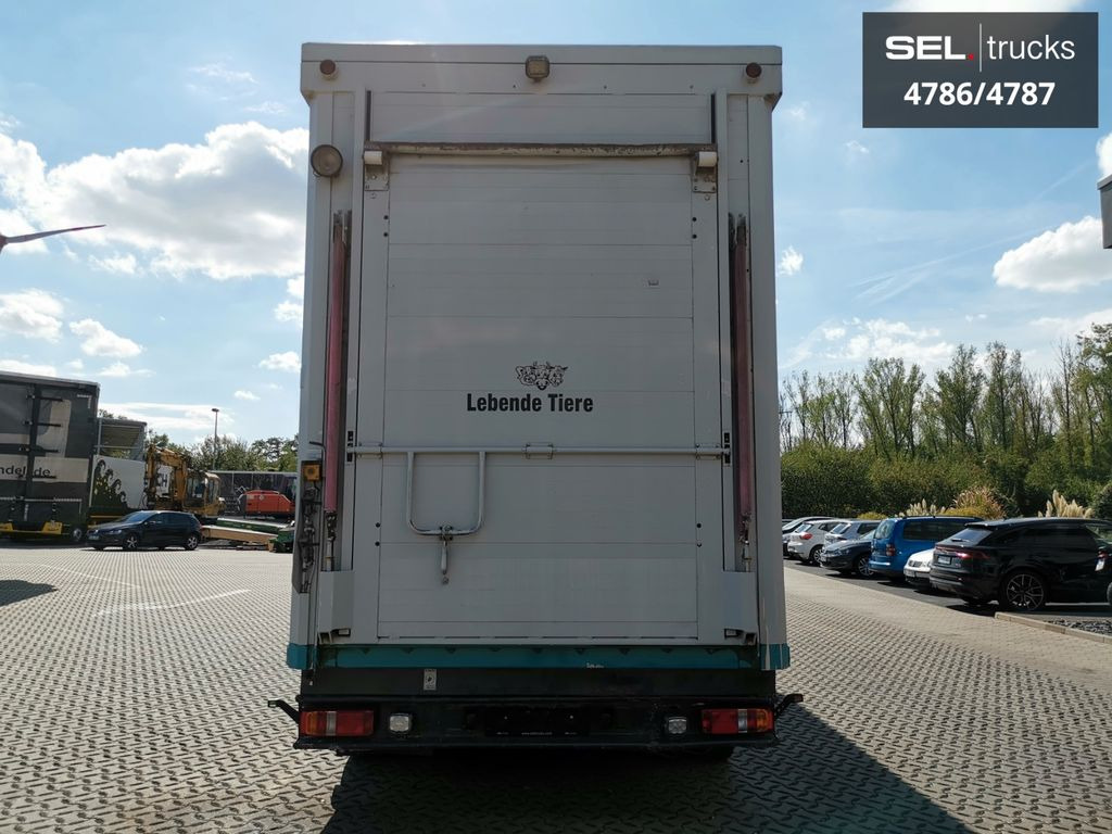 За превоз на животни камион DAF XF 105.460  / Intarder / 4 Stock / KOMPLETT !: снимка 6