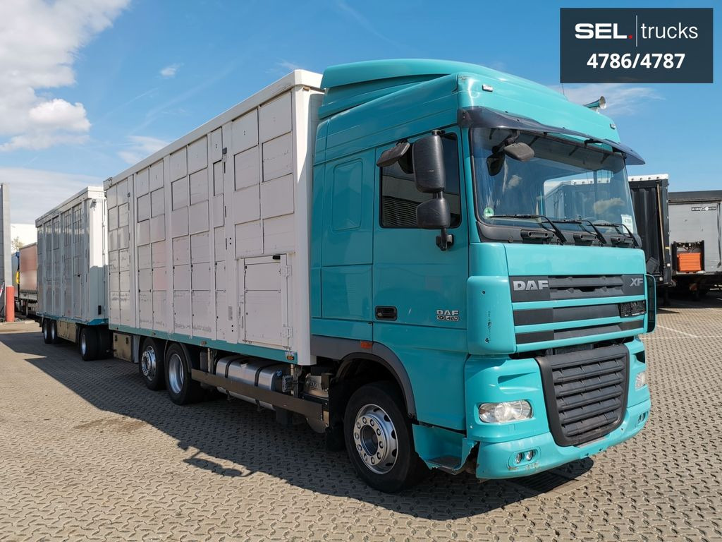 DAF XF 105.460 / Intarder / 4 Stock / KOMPLETT ! - За превоз на животни камион: снимка 4 DAF XF 105.460 / Intarder / 4 Stock / KOMPLETT ! - За превоз на животни камион: снимка 4