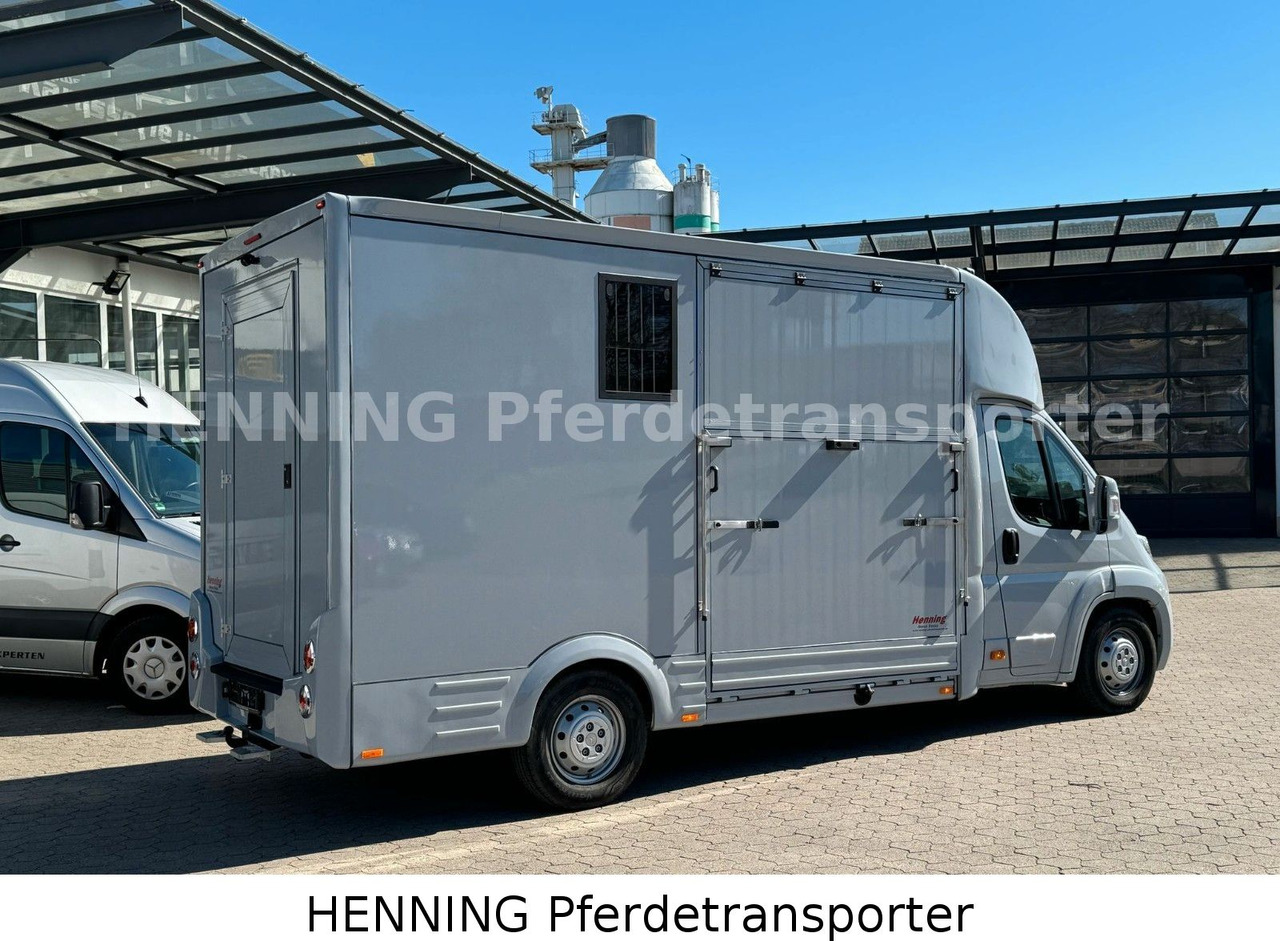 Citroën Jumper 3 - Sitzer - Камион за коне: снимка 3 Citroën Jumper 3 - Sitzer - Камион за коне: снимка 3