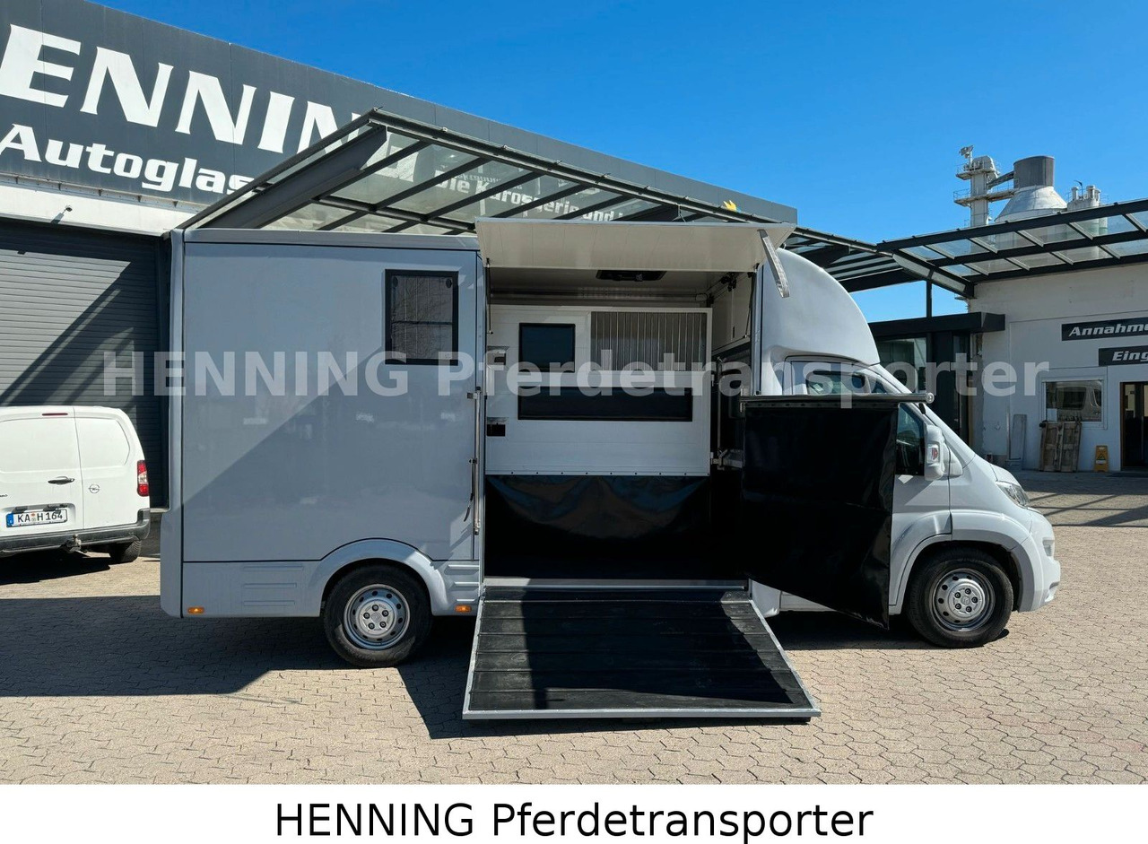 Citroën Jumper 3 - Sitzer - Камион за коне: снимка 5 Citroën Jumper 3 - Sitzer - Камион за коне: снимка 5