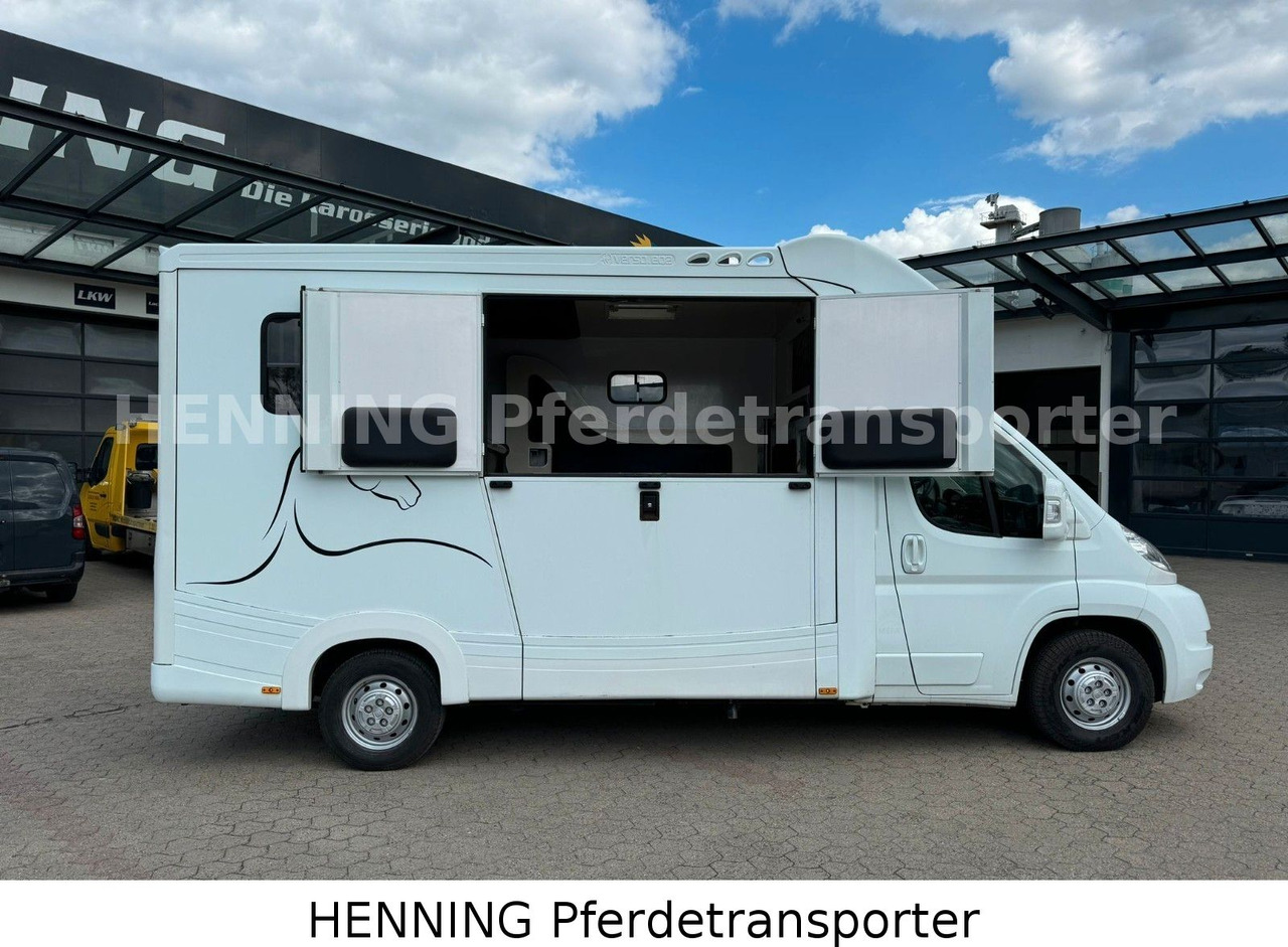 Fiat Ducato 3-Sitzer - Камион за коне, Лекотоварен автомобил: снимка 3 Fiat Ducato 3-Sitzer - Камион за коне, Лекотоварен автомобил: снимка 3